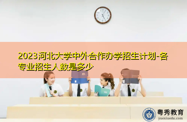 2023河北大学中外合作办学招生计划-各专业招生人数是多少