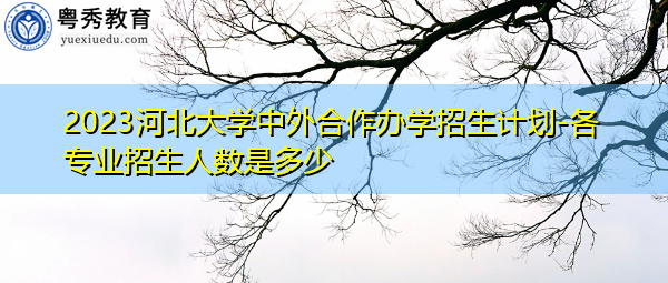 2023河北大学中外合作办学招生计划-各专业招生人数是多少