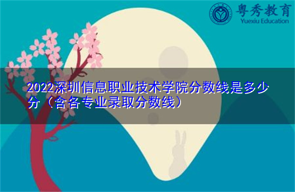 2022深圳信息职业技术学院分数线是多少分（含各专业录取分数线）