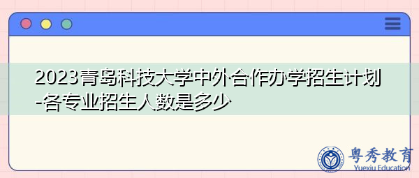 2023青岛科技大学中外合作办学招生计划-各专业招生人数是多少