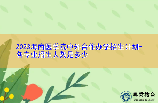 2023海南医学院中外合作办学招生计划-各专业招生人数是多少