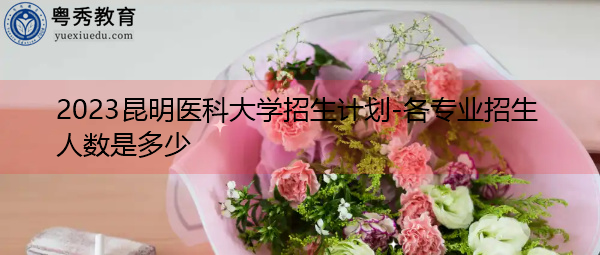 2023昆明医科大学招生计划-各专业招生人数是多少