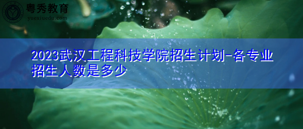 2023武汉工程科技学院招生计划-各专业招生人数是多少