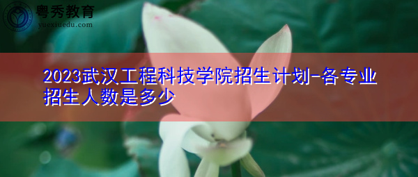 2023武汉工程科技学院招生计划-各专业招生人数是多少