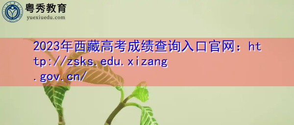 2023年西藏高考成绩查询入口官网:http://zsks.edu.xizang.gov.cn/ 2023年西藏高考成绩查询入口官网:http://zsks.edu.xizang.gov.cn/