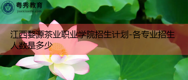 江西婺源茶业职业学院招生计划-各专业招生人数是多少 江西婺源茶业职业学院招生计划-各专业招生人数是多少