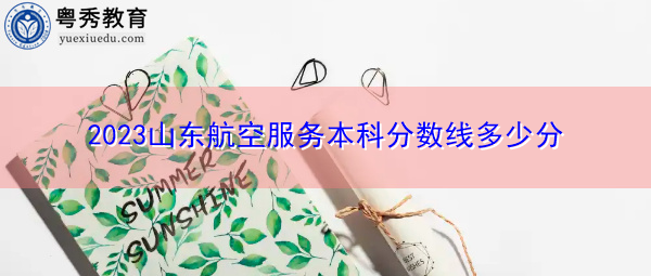 2023山东航空服务本科分数线多少分