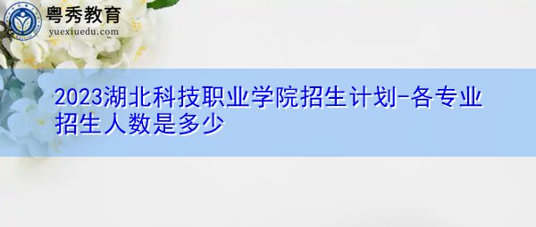 2023湖北科技职业学院招生计划-各专业招生人数是多少 2023湖北科技职业学院招生计划-各专业招生人数是多少