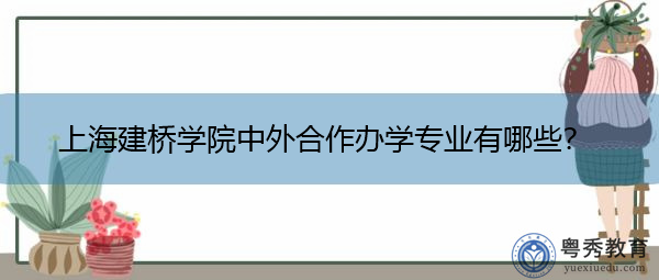 上海建桥学院中外合作办学专业有哪些？