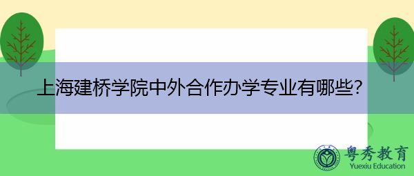 上海建桥学院中外合作办学专业有哪些？
