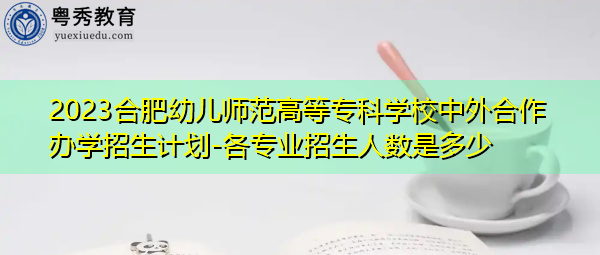 2023合肥幼儿师范高等专科学校中外合作办学招生计划-各专业招生人数是多少