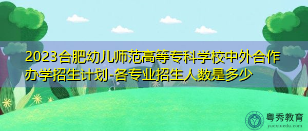 2023合肥幼儿师范高等专科学校中外合作办学招生计划-各专业招生人数是多少