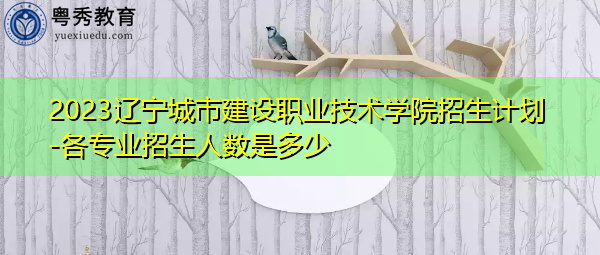 2023辽宁城市建设职业技术学院招生计划-各专业招生人数是多少
