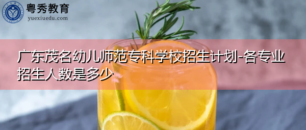 广东茂名幼儿师范专科学校招生计划-各专业招生人数是多少 广东茂名幼儿师范专科学校招生计划-各专业招生人数是多少