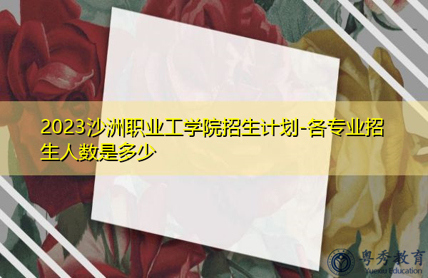 2023沙洲职业工学院招生计划-各专业招生人数是多少 2023沙洲职业工学院招生计划-各专业招生人数是多少