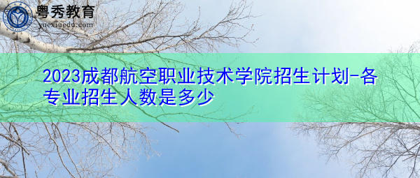 2023成都航空职业技术学院招生计划-各专业招生人数是多少 2023成都航空职业技术学院招生计划-各专业招生人数是多少