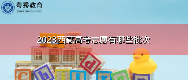 2023西藏高考志愿有哪些批次