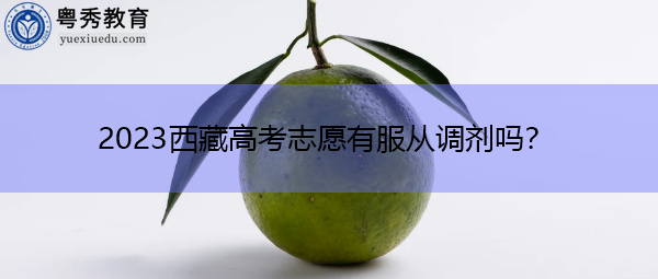 2023西藏高考志愿有服从调剂吗？