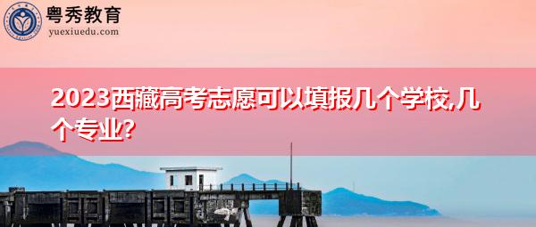 2023西藏高考志愿可以填报几个学校,几个专业？