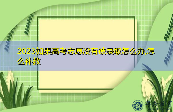 2023如果高考志愿没有被录取怎么办,怎么补救