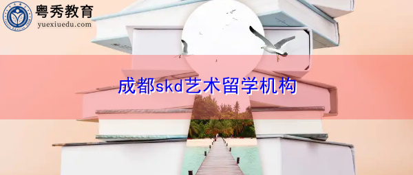 成都skd艺术留学机构