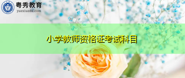 小学教师资格证考试科目 小学教师资格证考试科目
