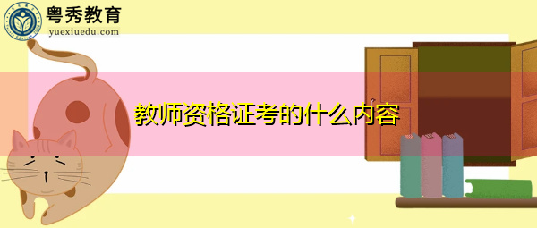 教师资格证考的什么内容