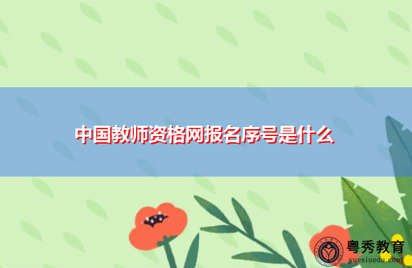 中国教师资格网报名序号是什么
