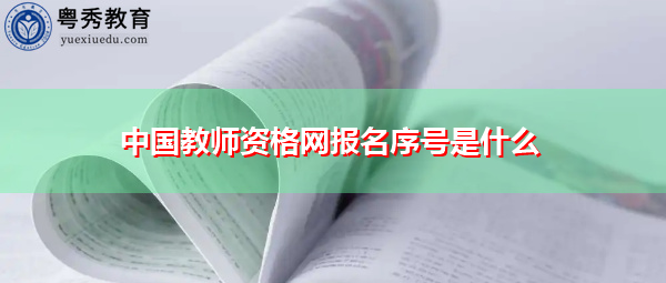 中国教师资格网报名序号是什么