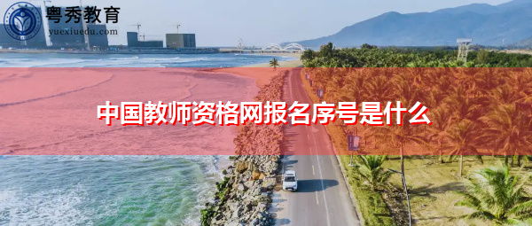 中国教师资格网报名序号是什么