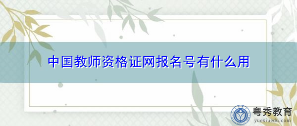 中国教师资格证网报名号有什么用