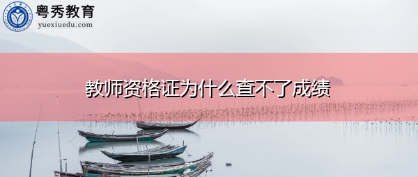 教师资格证为什么查不了成绩 教师资格证为什么查不了成绩