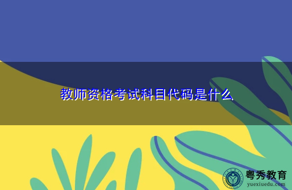 教师资格考试科目代码是什么 教师资格考试科目代码是什么