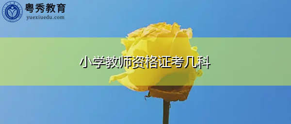 小学教师资格证考几科 小学教师资格证考几科