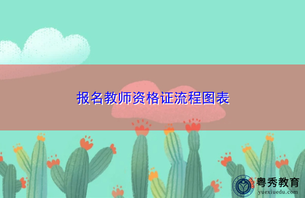 报名教师资格证流程图表