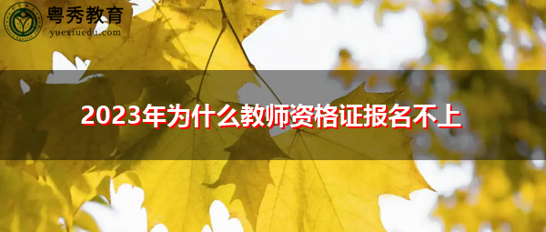 2023年为什么教师资格证报名不上