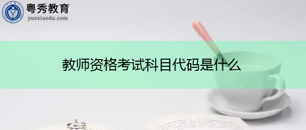 教师资格考试科目代码是什么