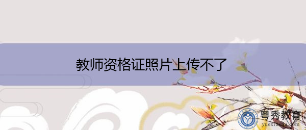 教师资格证照片上传不了 教师资格证照片上传不了