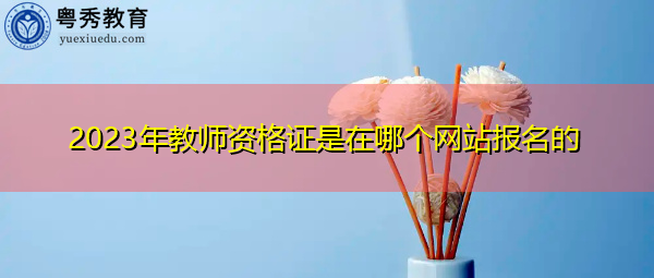 2023年教师资格证是在哪个网站报名的
