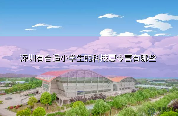 深圳有合适小学生的科技夏令营有哪些