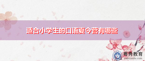 适合小学生的口语夏令营有哪些