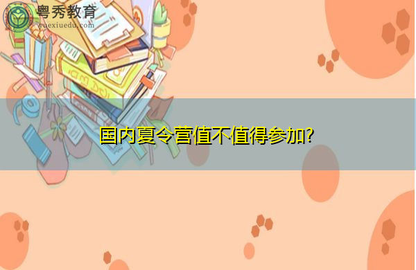 国内夏令营值不值得参加? 国内夏令营值不值得参加?