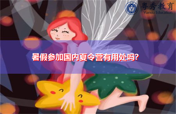 暑假参加国内夏令营有用处吗? 暑假参加国内夏令营有用处吗?