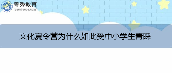 文化夏令营为什么如此受中小学生青睐 文化夏令营为什么如此受中小学生青睐