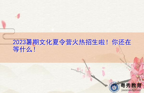 2023暑期文化夏令营火热招生啦！你还在等什么！