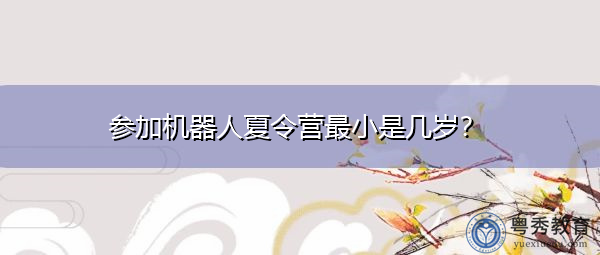 参加机器人夏令营最小是几岁？