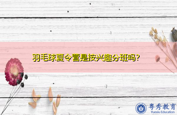 羽毛球夏令营是按兴趣分班吗? 羽毛球夏令营是按兴趣分班吗?