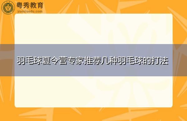 羽毛球夏令营专家推荐几种羽毛球的打法 羽毛球夏令营专家推荐几种羽毛球的打法