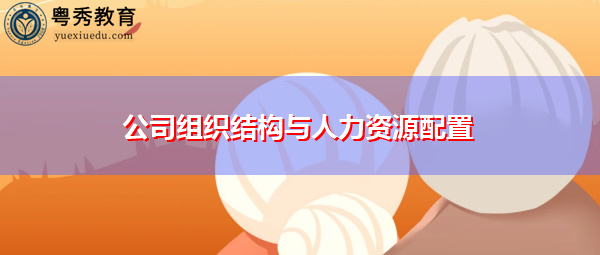 公司组织结构与人力资源配置 公司组织结构与人力资源配置