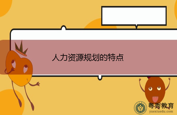 人力资源规划的特点